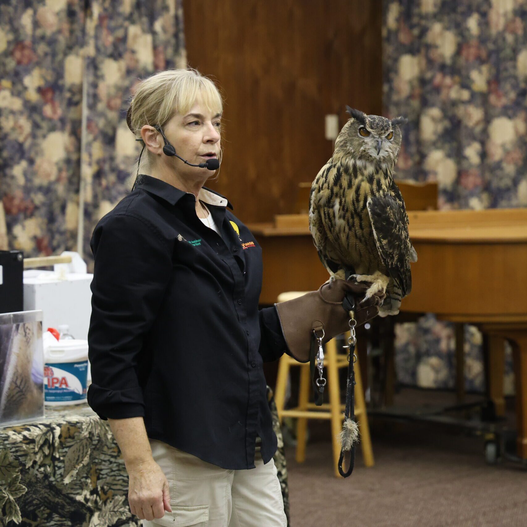 Nature Series Hawks Up Close And Personal Silver Bay YMCA